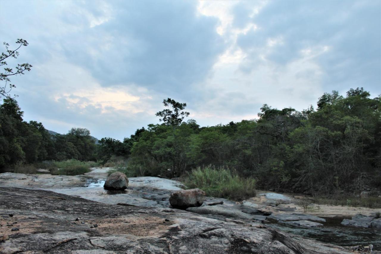 Lions Rock Rapids - Luxury Tented Camp ヘイジービュー エクステリア 写真